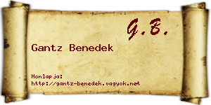 Gantz Benedek névjegykártya